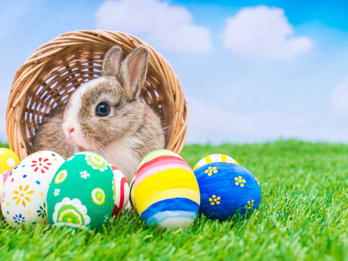 Easter Vacation Care Program